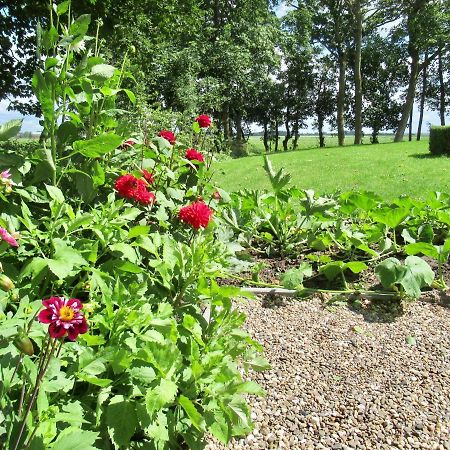 B And Be Happy Friesland Lioessens Экстерьер фото