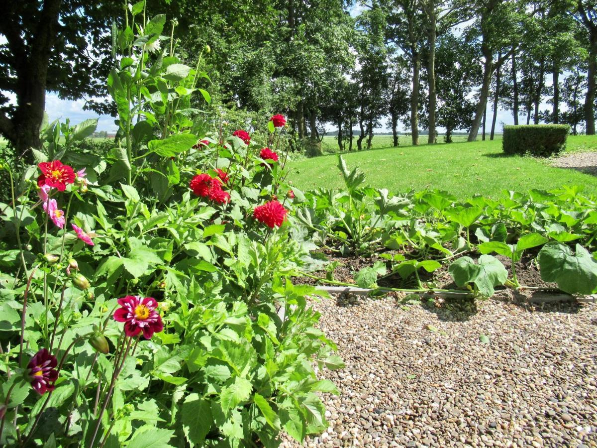 B And Be Happy Friesland Lioessens Экстерьер фото